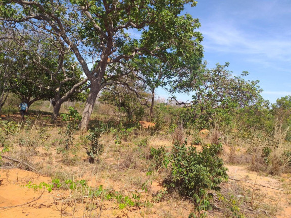 Imagem Fazenda à Venda, 5 m² em Montes Claros Imagem Fazenda à Venda, 5 m² em Montes Claros