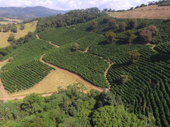Imagem Fazenda à Venda, 118 m² em Mg - Cambuquira Imagem Fazenda à Venda, 118 m² em Mg - Cambuquira