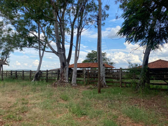 Imagem Fazenda à Venda, 532 m² em Rural - Jales