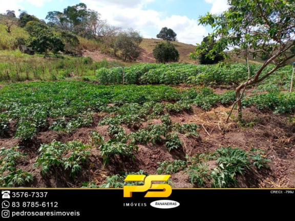 Imagem Imóvel à Venda, 65.000 m² em Serraria - Serraria Imagem Imóvel à Venda, 65.000 m² em Serraria - Serraria