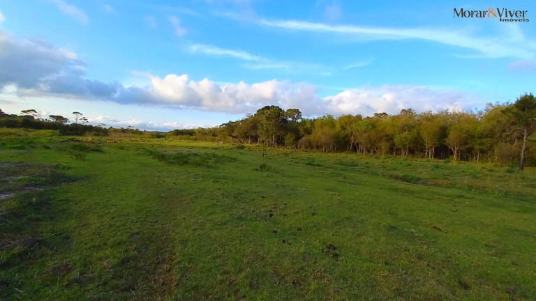 Imagem Chácara à Venda, 32.800 m² em Ambrósio - Tijucas Do Sul