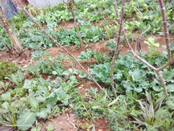 Imagem Chácara à Venda, em Consultar - Ibiúna Imagem Chácara à Venda, em Consultar - Ibiúna