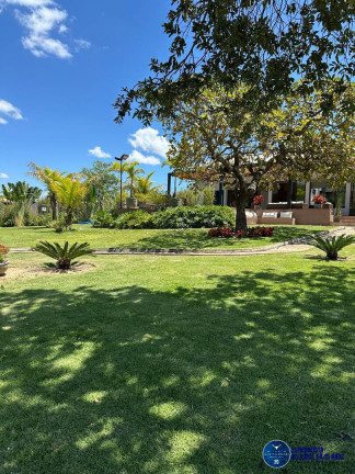 Imagem Chácara com 4 Quartos à Venda, 1 m² em Zona Rural - Bela Vista De Goiás Imagem Chácara com 4 Quartos à Venda, 1 m² em Zona Rural - Bela Vista De Goiás