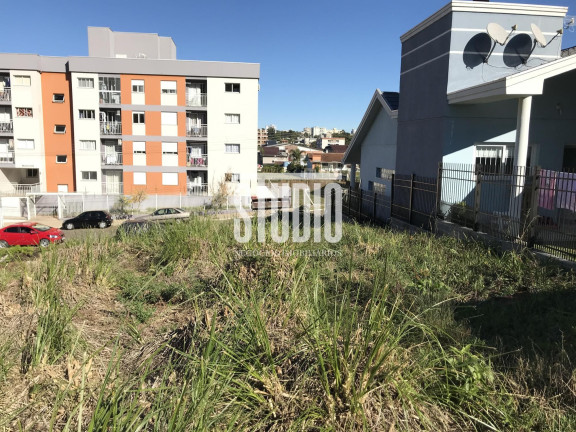 Imagem Terreno à Venda, 360 m² em Triângulo - Carlos Barbosa Imagem Terreno à Venda, 360 m² em Triângulo - Carlos Barbosa