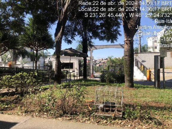Imagem Apartamento com 2 Quartos à Venda, 40 m² em Jardim Ansalca - Guarulhos Imagem Apartamento com 2 Quartos à Venda, 40 m² em Jardim Ansalca - Guarulhos