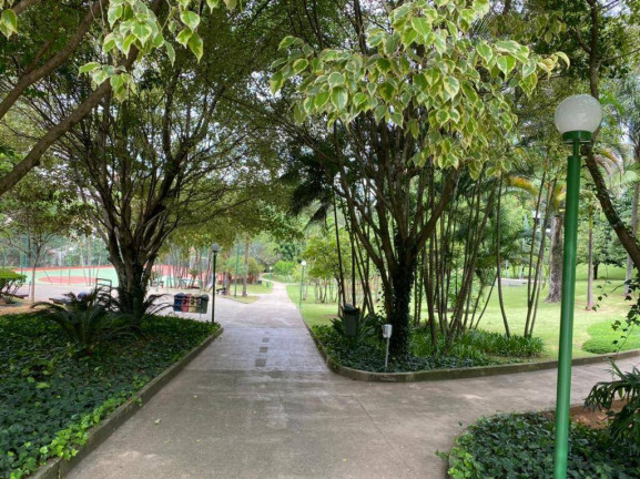 Imagem Apartamento com 3 Quartos à Venda, 206 m² em Jardim Vitória Régia - São Paulo Imagem Apartamento com 3 Quartos à Venda, 206 m² em Jardim Vitória Régia - São Paulo