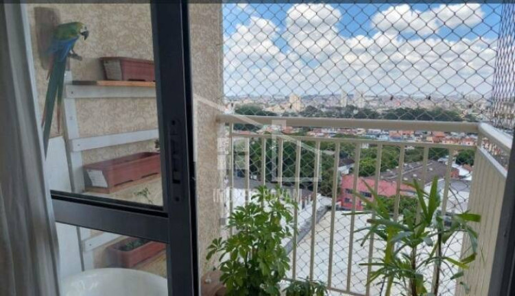 Imagem Apartamento com 3 Quartos à Venda, 60 m² em Planalto - São Bernardo Do Campo Imagem Apartamento com 3 Quartos à Venda, 60 m² em Planalto - São Bernardo Do Campo
