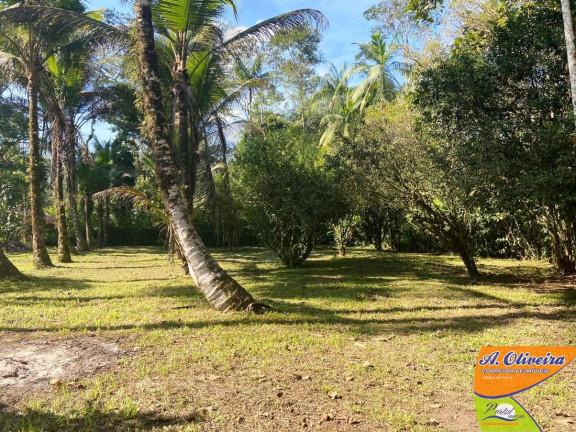 Imagem Chácara com 1 Quarto à Venda, 100 m² em Ubatumirim - Ubatuba Imagem Chácara com 1 Quarto à Venda, 100 m² em Ubatumirim - Ubatuba