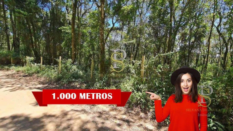 Imagem Terreno à Venda, 1.000 m² em Mato Dentro - Mairiporã Imagem Terreno à Venda, 1.000 m² em Mato Dentro - Mairiporã