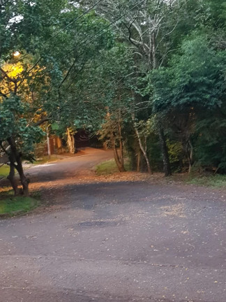 Imagem Terreno à Venda, 319 m² em Sousas - Campinas