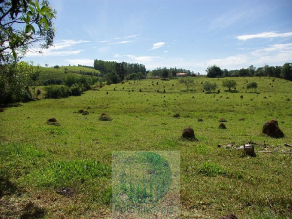 Imagem Imóvel com 3 Quartos à Venda, 220.000 m² em Zona Rural - Jacui