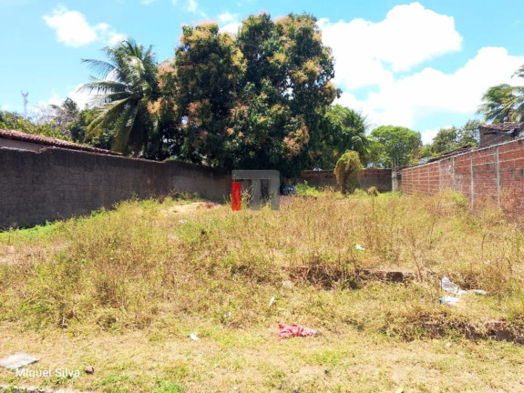 Imagem Terreno à Venda, 530 m² em São José - Macaíba