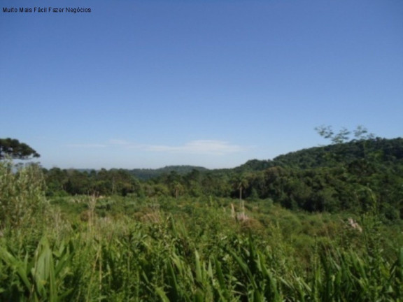 Imagem Terreno à Venda, 7 m² em Linha Imperial - Nova Petrópolis Imagem Terreno à Venda, 7 m² em Linha Imperial - Nova Petrópolis