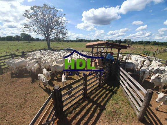 Imagem Fazenda à Venda, 110 m² em Cocalinho