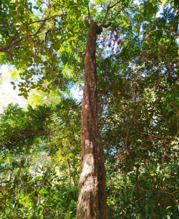 Imagem Imóvel à Venda, em São José Dos Campos Imagem Imóvel à Venda, em São José Dos Campos