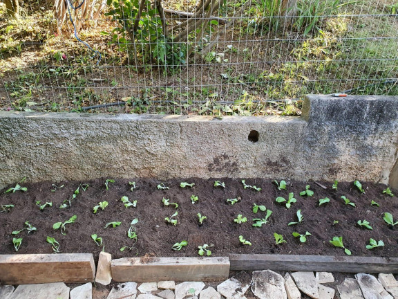 Imagem Imóvel à Venda, 1 m² em Rio Abaixo - Mairiporã Imagem Imóvel à Venda, 1 m² em Rio Abaixo - Mairiporã