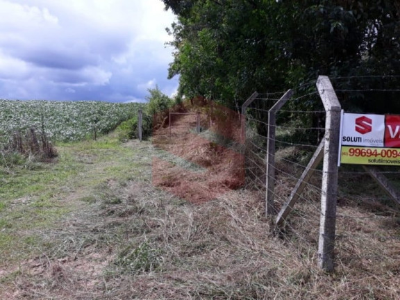 Imagem Chácara com 1 Quarto à Venda, 1 m² em Morro Do Cal - Campo Largo