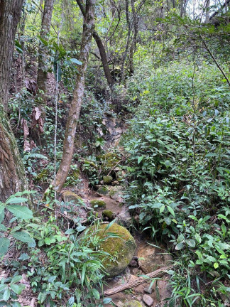 Imagem Terreno à Venda, 3 m² em Santa Terezinha De Minas - Itatiaiuçu Imagem Terreno à Venda, 3 m² em Santa Terezinha De Minas - Itatiaiuçu