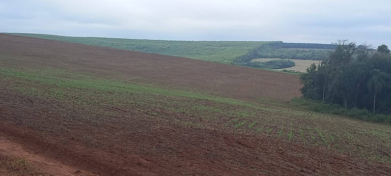 Imagem Chácara à Venda, 204 m² em Centro - Itapeva Imagem Chácara à Venda, 204 m² em Centro - Itapeva
