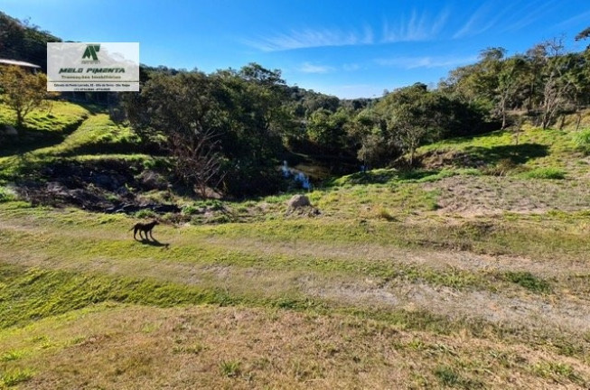 Imagem Chácara com 4 Quartos à Venda, 10.000 m² em Mailasqui - São Roque Imagem Chácara com 4 Quartos à Venda, 10.000 m² em Mailasqui - São Roque