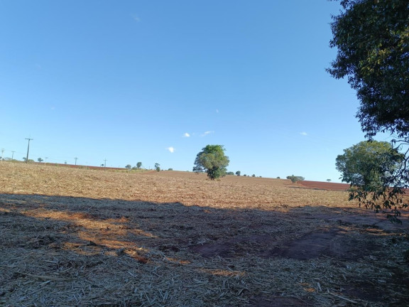 Imagem Chácara à Venda, 29 m² em Rural - Avaré