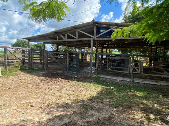 Imagem Chácara à Venda, em Aragoiânia Imagem Chácara à Venda, em Aragoiânia