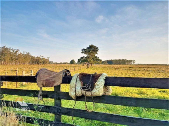 Imagem Fazenda à Venda, 3.160.000 m² em Centro - Viamão Imagem Fazenda à Venda, 3.160.000 m² em Centro - Viamão