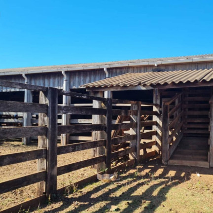 Imagem Fazenda à Venda, 581 m² em Getulio Vargas - Guiratinga Imagem Fazenda à Venda, 581 m² em Getulio Vargas - Guiratinga