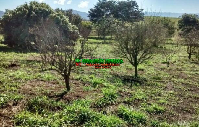 Imagem Chácara à Venda, 968.000 m² em Centro - Caçapava Imagem Chácara à Venda, 968.000 m² em Centro - Caçapava