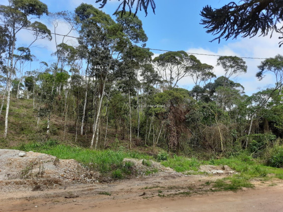 Imagem Fazenda à Venda, 58.665 m² em Pacotuba - Almirante Tamandaré Imagem Fazenda à Venda, 58.665 m² em Pacotuba - Almirante Tamandaré