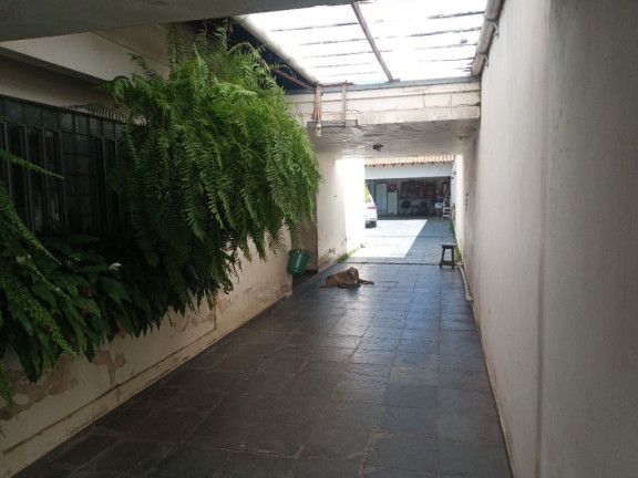 Imagem Casa com 4 Quartos à Venda, 566 m² em Centro - Suzano Imagem Casa com 4 Quartos à Venda, 566 m² em Centro - Suzano