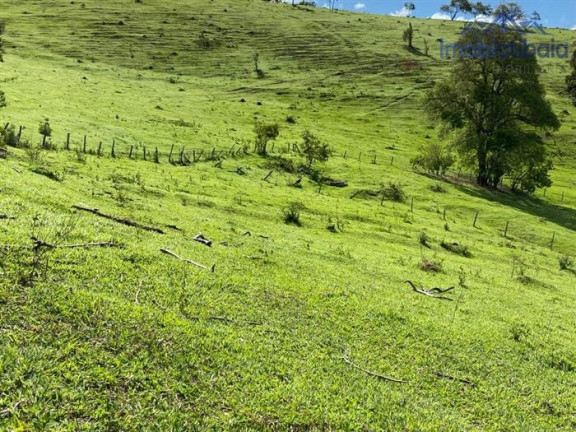 Imagem Chácara com 10 Quartos à Venda, 245.000 m² em Centro - Piracaia