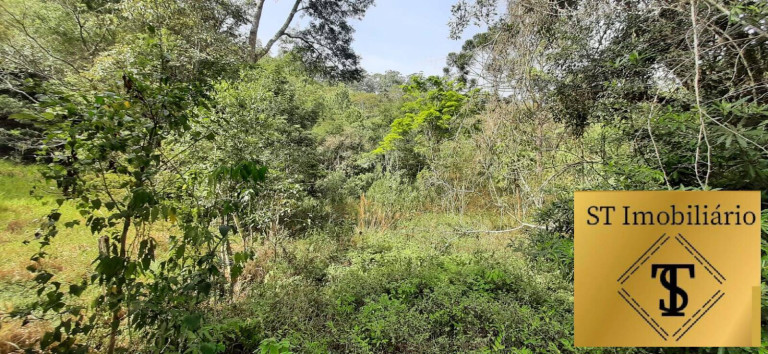 Imagem Chácara com 3 Quartos à Venda, 72.000 m² em Estância Santa Maria Do Portão - Atibaia