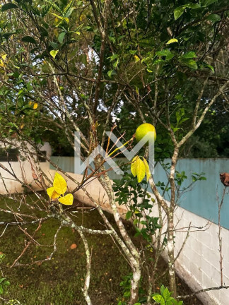 Imagem Chácara com 3 Quartos à Venda, 270 m² em Icapara - Iguape Imagem Chácara com 3 Quartos à Venda, 270 m² em Icapara - Iguape