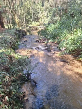 Imagem Imóvel à Venda, 20.000 m² em Santana - Bocaiuva Do Sul Imagem Imóvel à Venda, 20.000 m² em Santana - Bocaiuva Do Sul