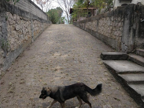 Imagem Imóvel à Venda, 2.000 m² em Campo Grande - Rio De Janeiro Imagem Imóvel à Venda, 2.000 m² em Campo Grande - Rio De Janeiro