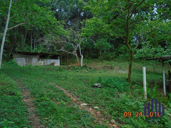 Imagem Imóvel à Venda, 95.214 m² em Peruibe - Peruíbe