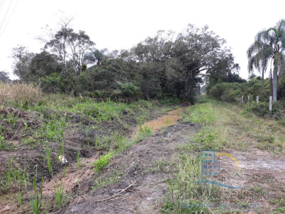 Imagem Terreno à Venda, 48.691 m² em Itinga - Araquari
