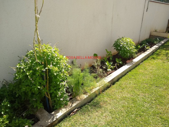 Imagem Apartamento com 3 Quartos à Venda, 62 m² em Parque União - Jundiaí