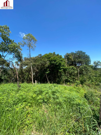 Imagem Terreno à Venda, 1.000 m² em Mairiporã - Mairiporã Imagem Terreno à Venda, 1.000 m² em Mairiporã - Mairiporã