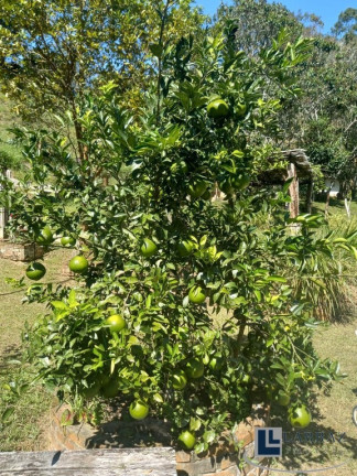 Imagem Imóvel com 8 Quartos à Venda, 13 m² em Area Rural De Natividade Da Serra - Natividade Da Serra Imagem Imóvel com 8 Quartos à Venda, 13 m² em Area Rural De Natividade Da Serra - Natividade Da Serra