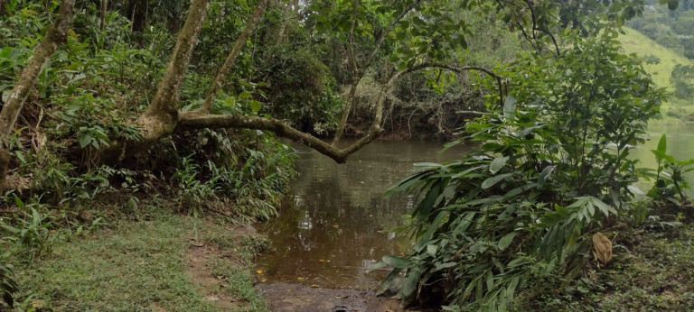 Imagem Chácara com 1 Quarto à Venda, 100 m² em Catuçaba - São Luíz Do Paraitinga Imagem Chácara com 1 Quarto à Venda, 100 m² em Catuçaba - São Luíz Do Paraitinga