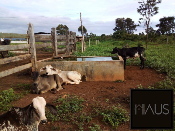 Imagem Fazenda à Venda, 350 m² em Baldim Imagem Fazenda à Venda, 350 m² em Baldim