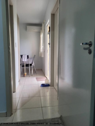 Imagem Apartamento com 2 Quartos à Venda, 48 m² em Gralha Azul - Sarandi Imagem Apartamento com 2 Quartos à Venda, 48 m² em Gralha Azul - Sarandi