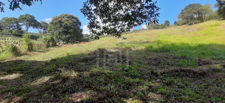 Imagem Imóvel à Venda, 3 m² em Milho Verde - Bandeira Do Sul Imagem Imóvel à Venda, 3 m² em Milho Verde - Bandeira Do Sul