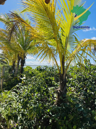 Imagem Terreno à Venda, em Orla Norte - Porto Seguro Imagem Terreno à Venda, em Orla Norte - Porto Seguro