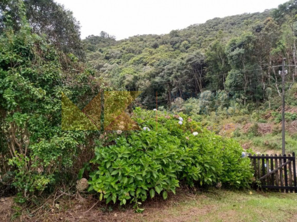 Imagem Fazenda à Venda, 64.288 m² em Barra Avencal - Rio Dos Cedros