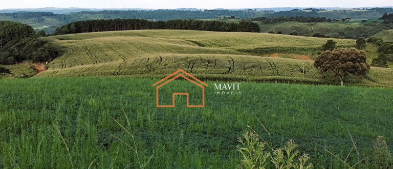 Imagem Imóvel à Venda, 750.200 m² em Interior - Campo Belo Do Sul Imagem Imóvel à Venda, 750.200 m² em Interior - Campo Belo Do Sul