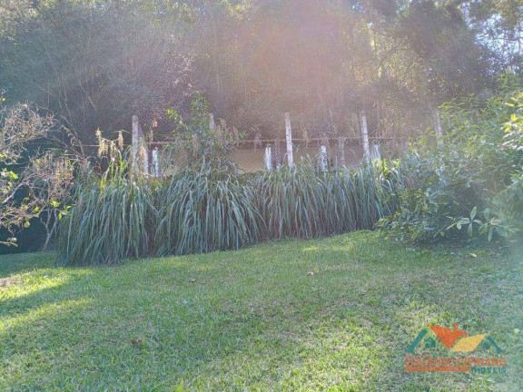 Imagem Chácara com 4 Quartos à Venda, 350 m² em Capim Da Angola - Paraibuna