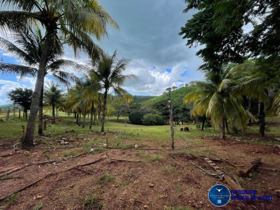Imagem Fazenda à Venda, 33 m² em Zona Rural - Goiás Imagem Fazenda à Venda, 33 m² em Zona Rural - Goiás